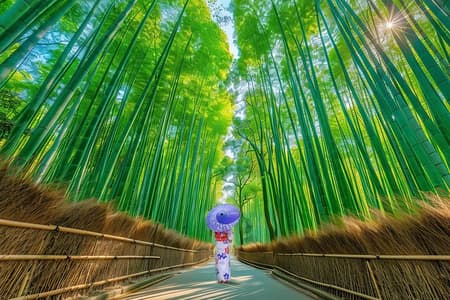 Kyoto Must-see Spots & Nara Park Sightseeing Day Tour from Osaka