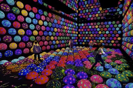 Skip-the-Line TeamLab Planets Ticket including Tokyo Hotel Pickup