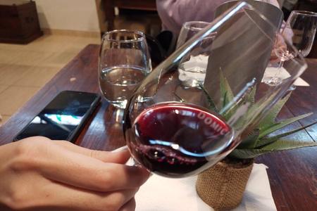 Excursión de 3 bodegas y 1 olivícola con degustación