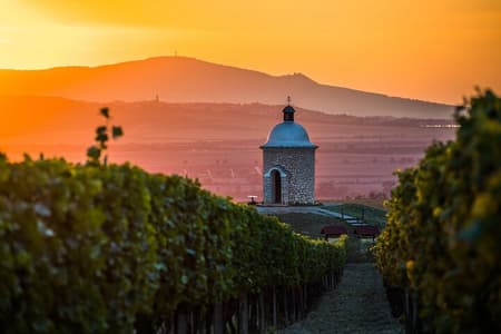 Moravian E-Bike & Wine Day Trip From Brno