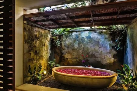 Ubud Luxury Spa Relaxing Package with Amidst Rice Fields