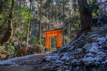 Kyoto: Fushimi Inari Hidden Hike (Private)