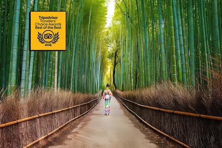 Kyoto Arashiyama Walking Tour: Bamboo, Monkeys, Gardens & Secrets