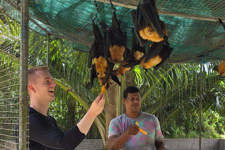 Day Tour Vallee de Mai Praslin Museum and Anse Lazio
