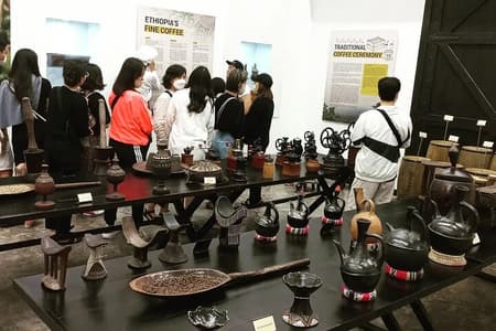 Addis Ababa Coffee Tour Bean to Cup Experience