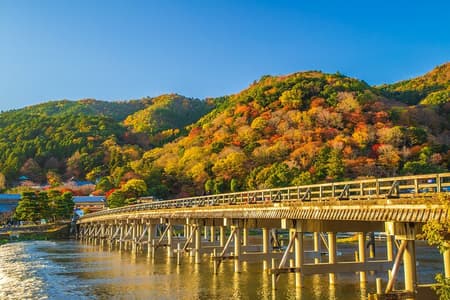 Da Osaka-Kyoto: tour in autobus di 1 giorno a Kyoto e Nara