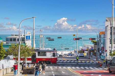 Busan's Cultural Wonders with Beach Train & Gamcheon Village etc