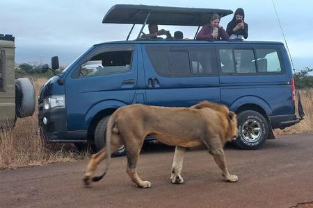 Tour por el Parque Nacional de Nairobi y experiencia de vida silvestre – Game Drive