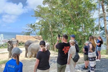 Excursão para grupos pequenos ao santuário de elefantes em Phuket