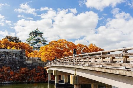 Osaka Castle 3 Hours Historical Walking Tour