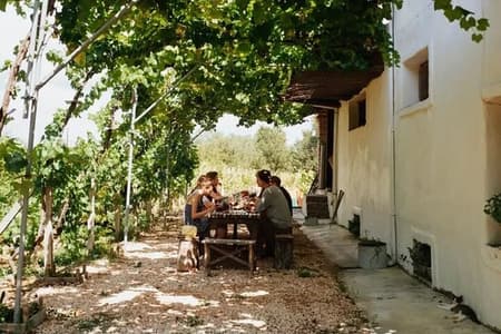 Winery Tour and Tasting in Corfu` with the Sommelier