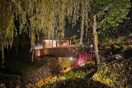 Furnas - Vulcanic Experience by nigth - including thermal baths