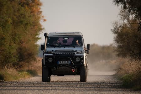 Safari in Camargue 4x4 4h - Partenza da Arles