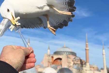 ISTANBUL WONDERS : Highlights FullDay Private Guided City Tour