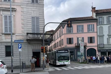 Antica gloria della capitale di un regno: un audio tour a piedi a Pavia