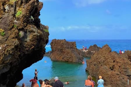 Tour en grupo pequeño por las cascadas y el bosque fanal