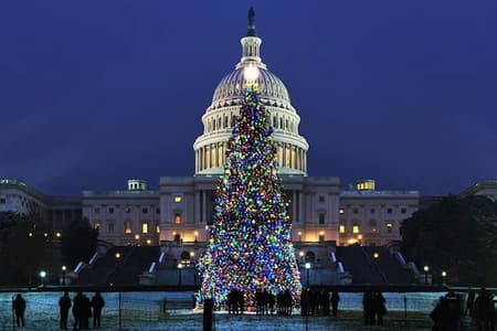 Tour notturno delle luci di vacanza con 10 fermate, Opzioni di biglietto d'ingresso