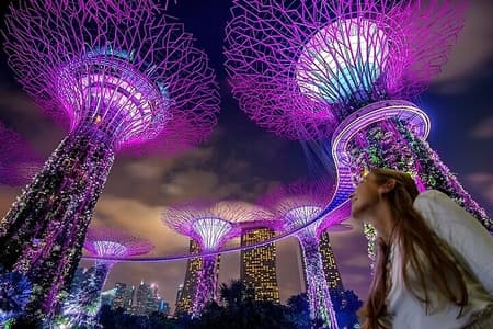 Singapore Guided Night Tour with 2 Light Shows & River Cruise