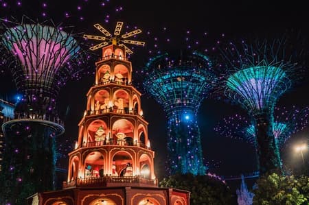 Singapore Starry Night : Cruise, Garden Rhapsody & Spectra Show