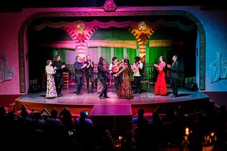 Flamenco Show and Dinner in Seville