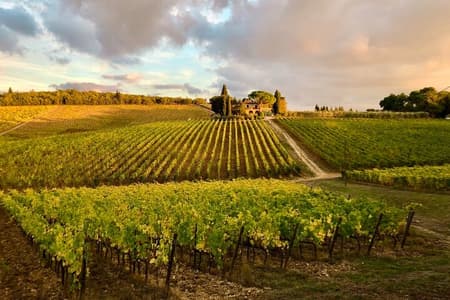 Casa Emma Wine Tasting 