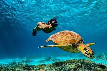 Privé snorkelen op het eiland Gili (koraal, standbeeld en schildpad)