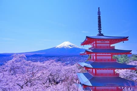 Scenic Spots of Mt Fuji and Lake Kawaguchi 1 Day Bus Tour