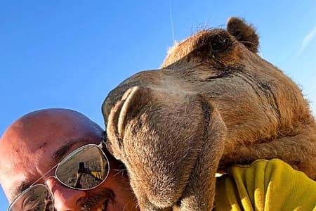 Kuwait: Half Day City Desert Tour Pickup & Dropoff