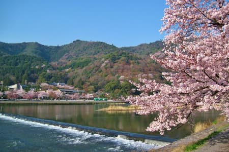 From Osaka/Kyoto: Kyoto & Nara Day Trip with Lunch