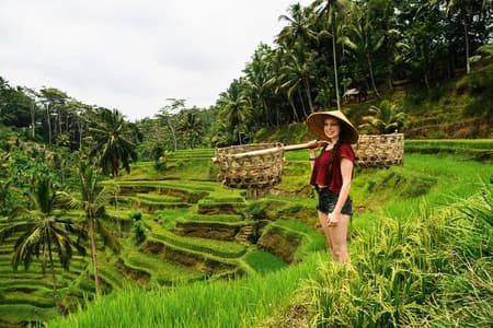Tour privado de 1 día por lo mejor de Ubud