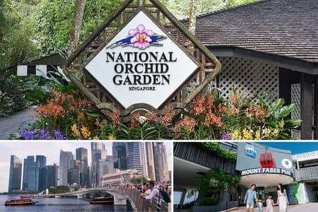 Visita guiada de medio día con jardín nacional de orquídeas