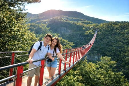 DMZ Insider Tour: 3rd Tunnel, NK Defector Meet& Suspension Bridge