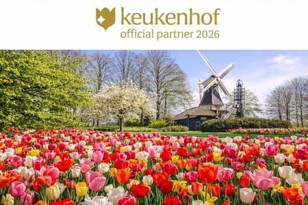 Amsterdam : Keukenhof Entrada & Autobús de enlace con retorno flexible