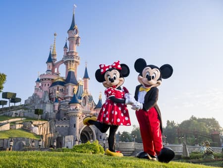 Train and Disneyland® Ticket