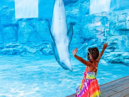 Tampa Bay CityPASS® - Acceso a 5 atracciones