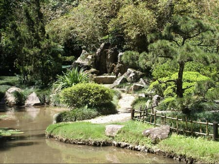 Jardín Botánico de Río de Janeiro