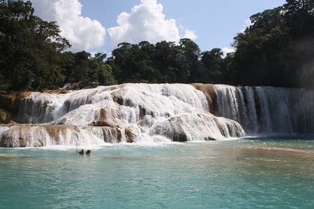 Zona Arqueológica de Agua Azul, Misolha y Palenque -  En español