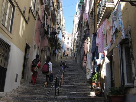 Full Lisbon Experience with Seafood Lunch - Half-Day Walking Tour 