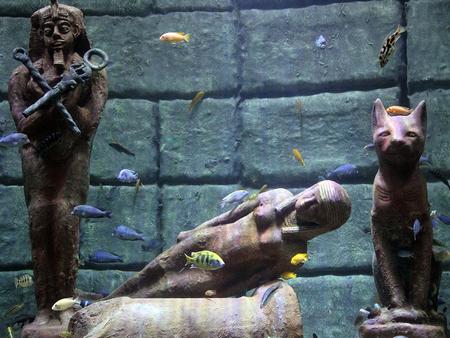 Antalya Aquarium et Face 2 Face Wax Museum - Billet 