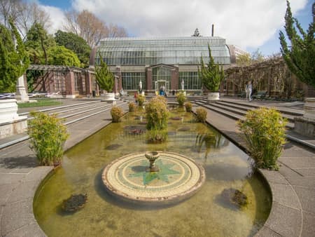 Auckland City Revealed