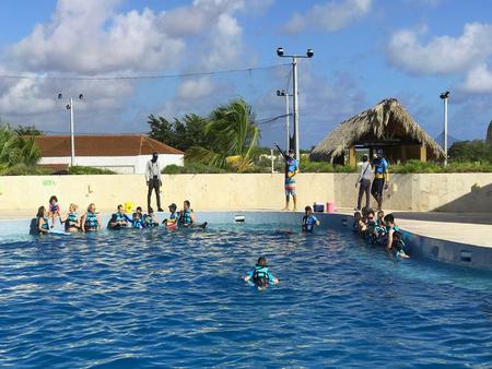 Dolphin Swim Adventure Punta Cana