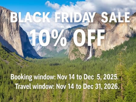 Yosemite National Park Full-Day Tour