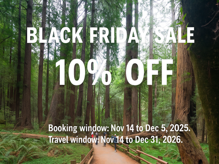 Muir Woods en Sausalito Halve Dag Tour 