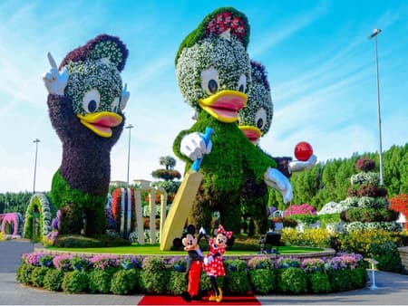 Biglietto per la visita al Dubai Miracle Garden
