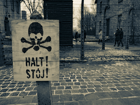 Auschwitz-Birkenau and Wieliczka Salt Mine - Guided Shared Tour