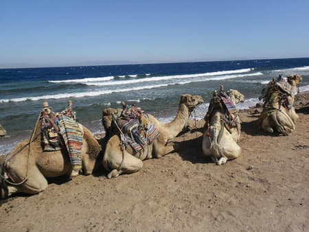 Safari Blue Hole Dahab