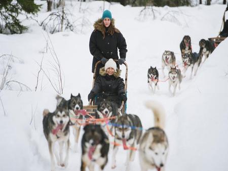 Husky Park and Reindeer Farm by bus with free time at Santa village 