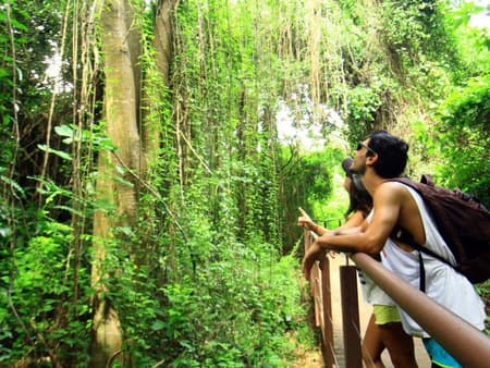 Sendero Mirante dos Golfinhos