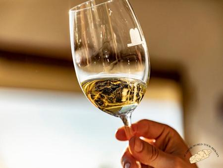 Ruta del chacolí en Bilbao con visita al Museo del Txakoli y degustación