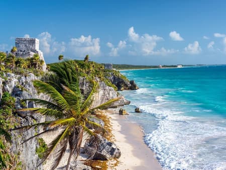 Ruinas de Tulum Express con Jaguar Park - Tour de Medio Día